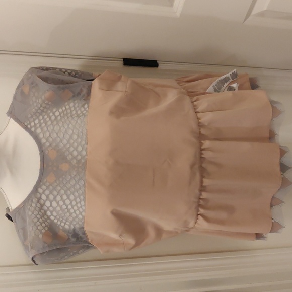 BCBG MAXAZRIA BLOUSE TOP SHIRT LACE LIGHT DUST GRAY  CALESTE Size S - Picture 8 of 8